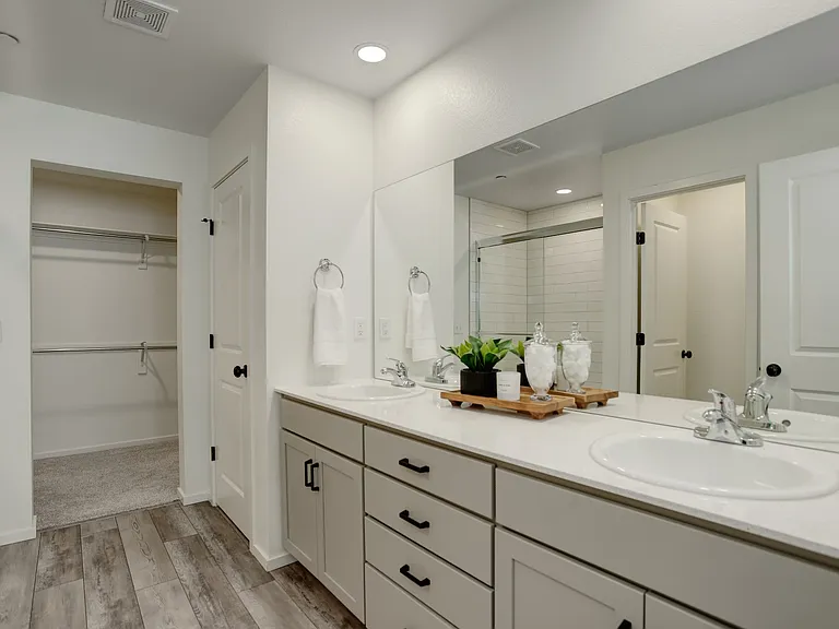 Master Bathroom/Master Closet