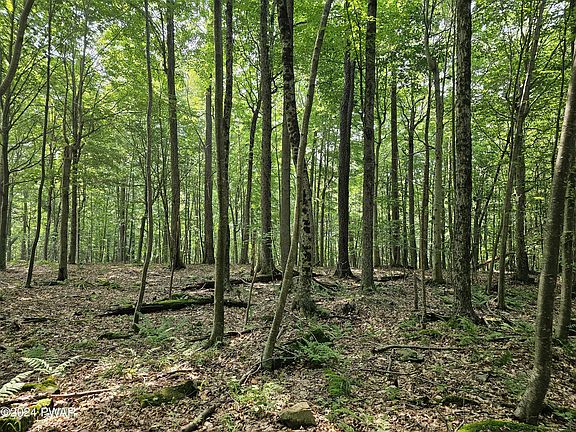 2nd image of 20 Cove Point Cir