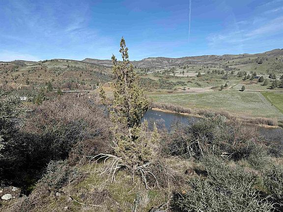 4th image of LOT 231 Pine Ct