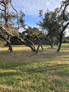 516 Forest Oak Ln, Rockport, TX, 78382