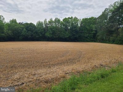 LOT 3 Morris Rd, Pittsville, MD, 21850
