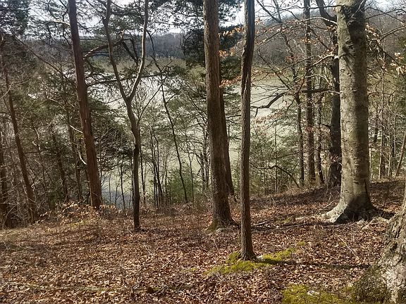 4th image of 505 Wondering Woods Dr