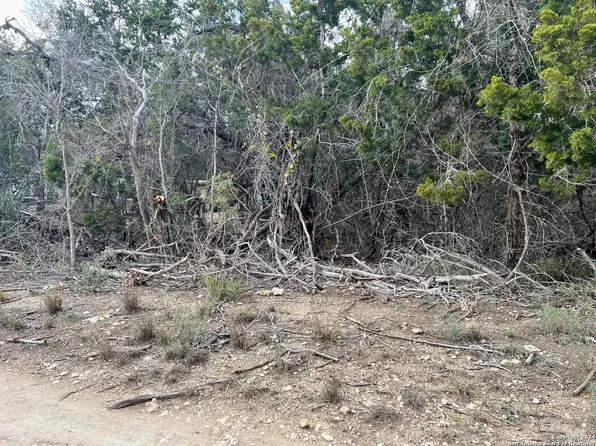 366 ANTLER DR LOT 25, Spring Branch, TX 78070