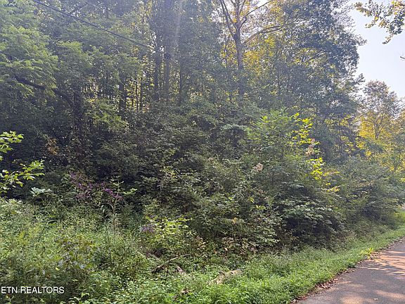 5th image of Community Park Rd
