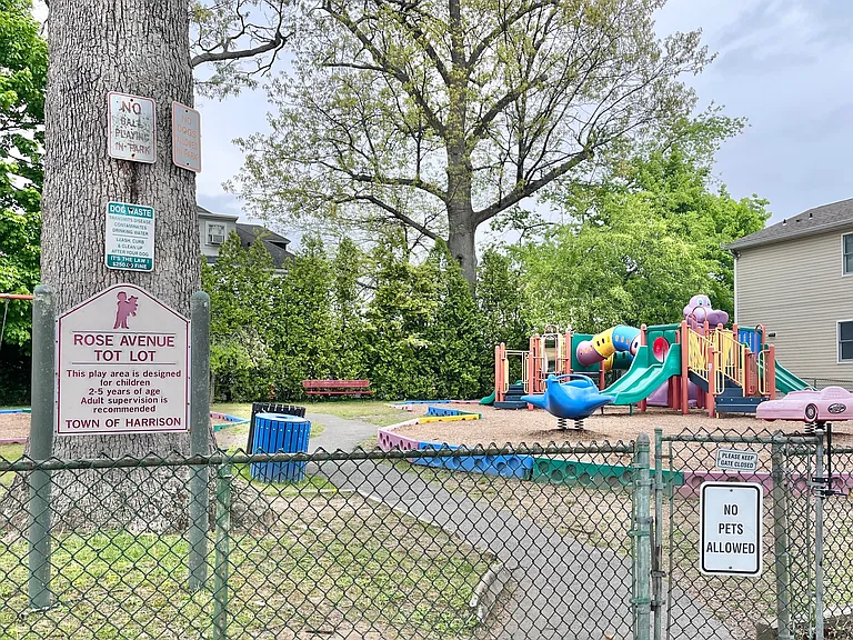 Rose Ave — Photo 14