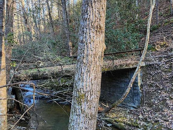 3rd image of 4246 Birds Creek Rd