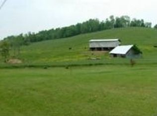 975 Tucker Hollow Rd W, Fall Branch, TN 37656