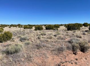 142 River Spgs #4, Saint Johns, AZ 85936