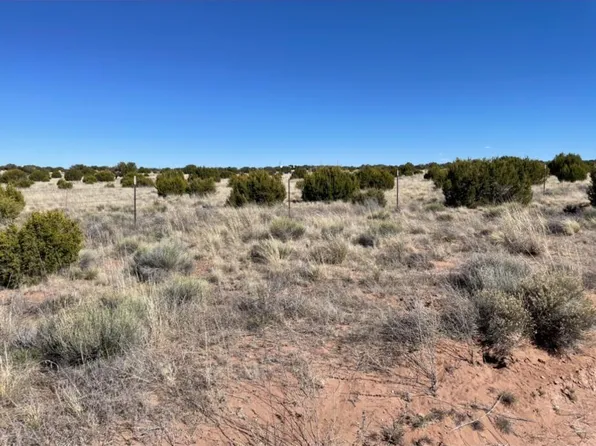 142 River Spgs #4, Saint Johns, AZ 85936
