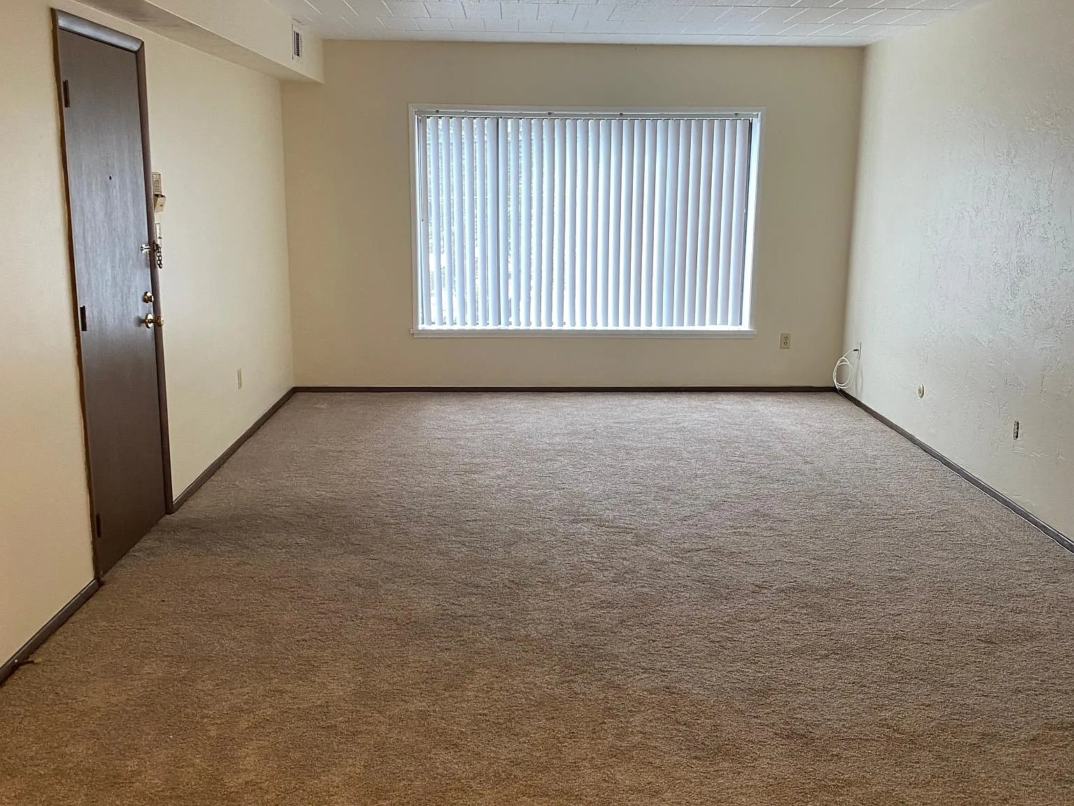 1 bed, $1,100 — Photo 3