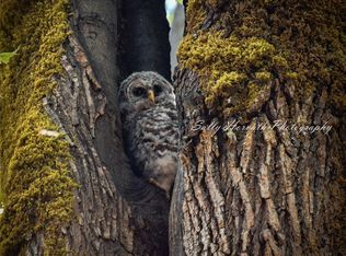 225 NKA Dietz Drive, Quilcene, WA 98376