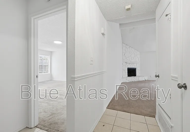4101 Gentle Springs Dr — Photo 8