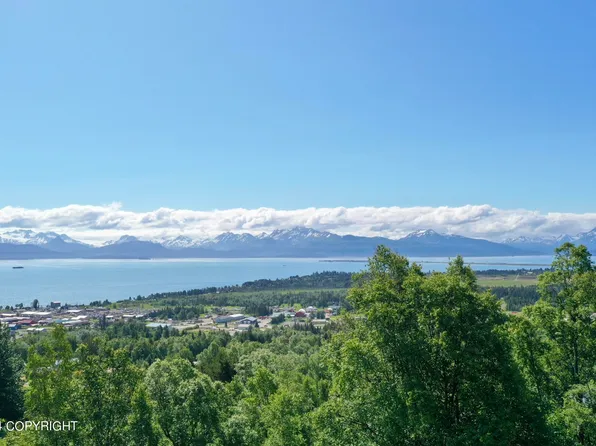 2970 Kestrel Cir, Homer, AK 99603