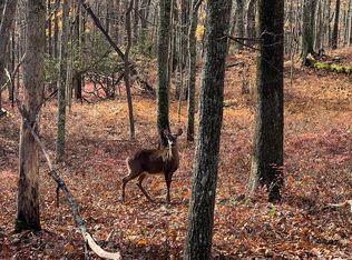 LOT 462 Caribou Rd, Dingmans Ferry, PA 18328