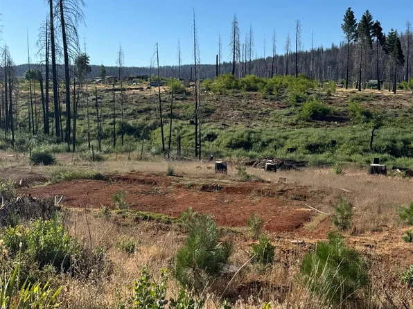 4491 String Canyon Rd, Grizzly Flats, CA 95636