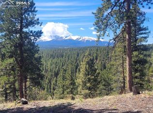 492 Nichole Grove Dr, Woodland Park, CO 80863