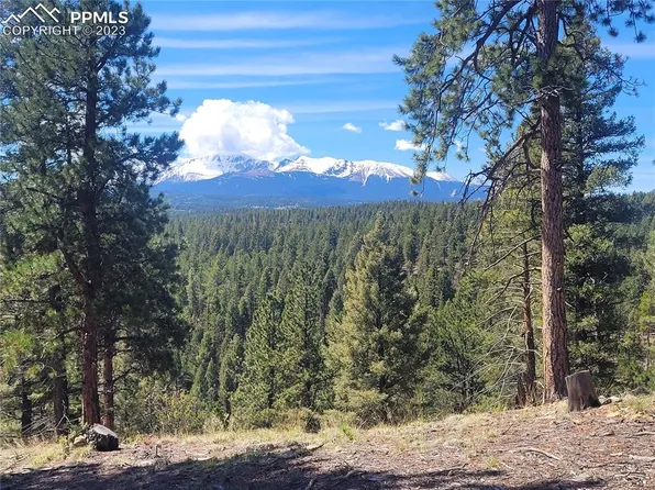 492 Nichole Grove Dr, Woodland Park, CO 80863