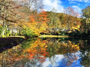 100 Patch Pond Dr, Burnsville, NC 28714