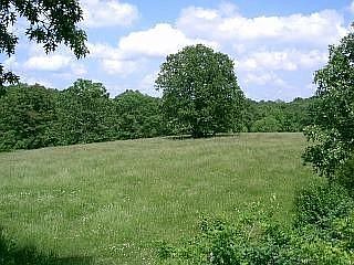 5th image of 4883 Us Hwy 60