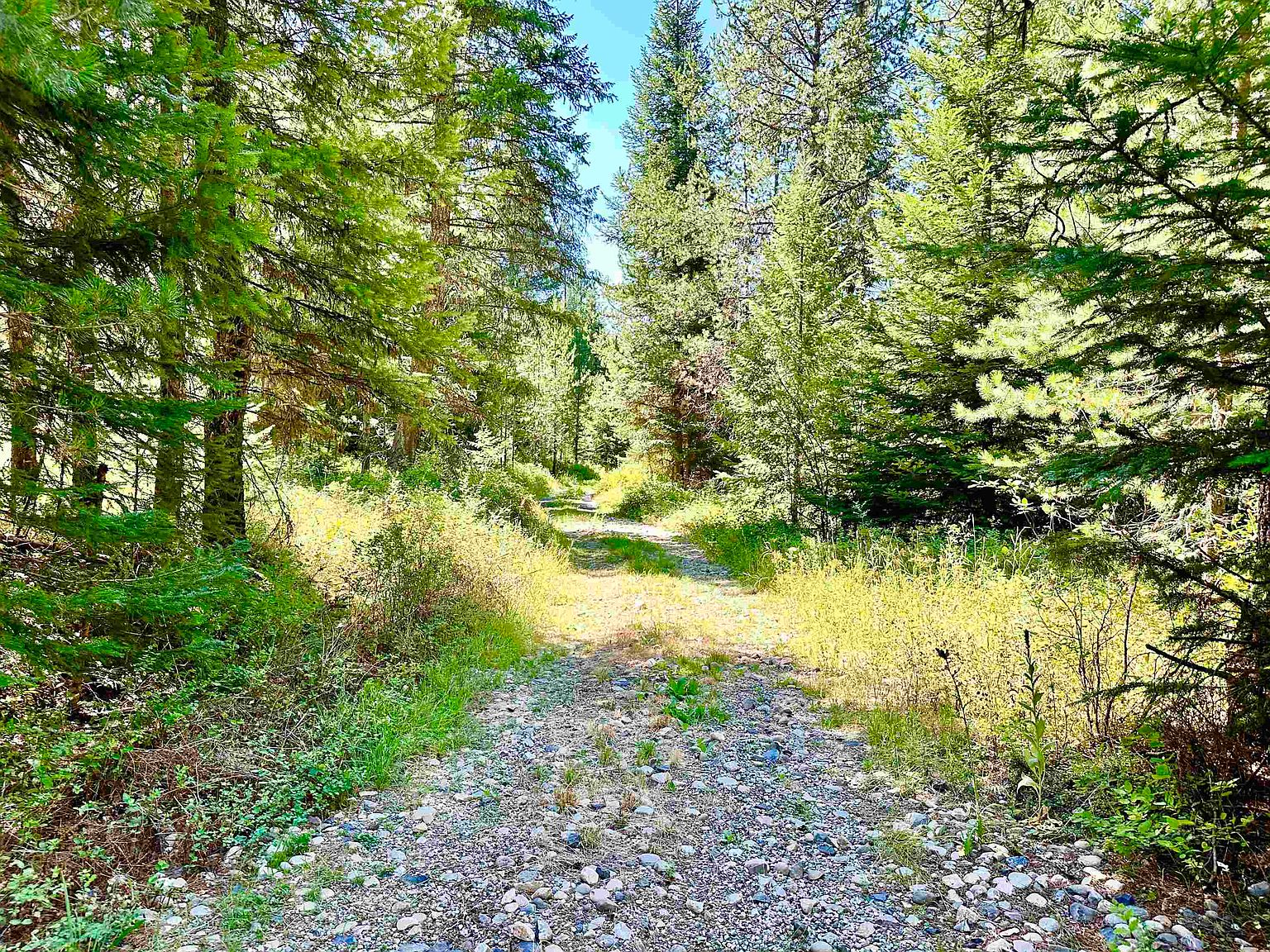 47XX Rosehill Rd, Springdale, WA 99173 MLS 202320423 Zillow