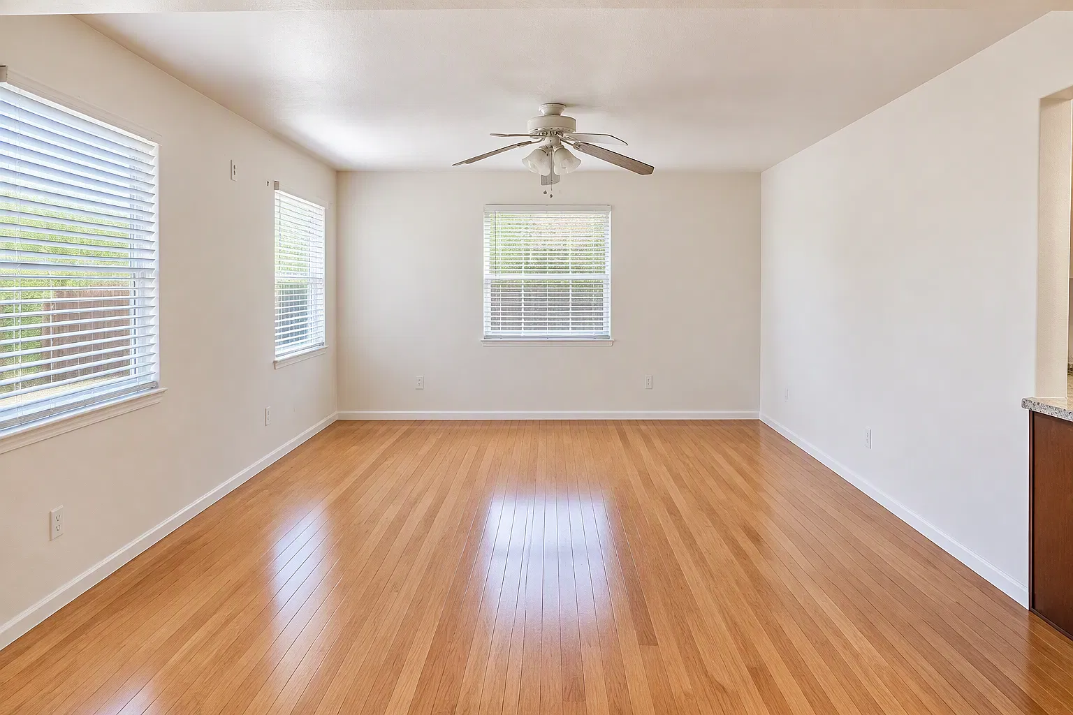 5021 Art Street — Photo 1