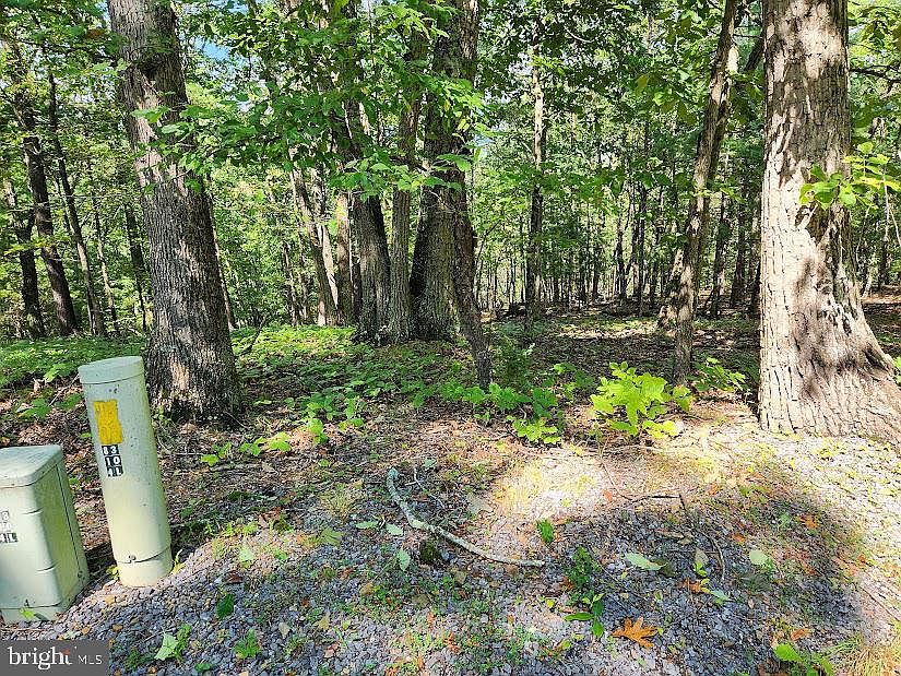 1st image of Ironwood Lot Ironwood