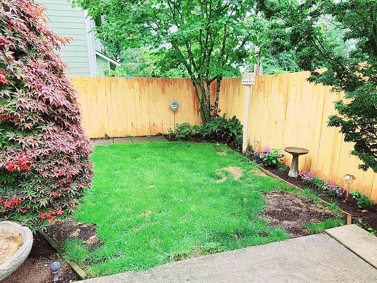 Backyard_6