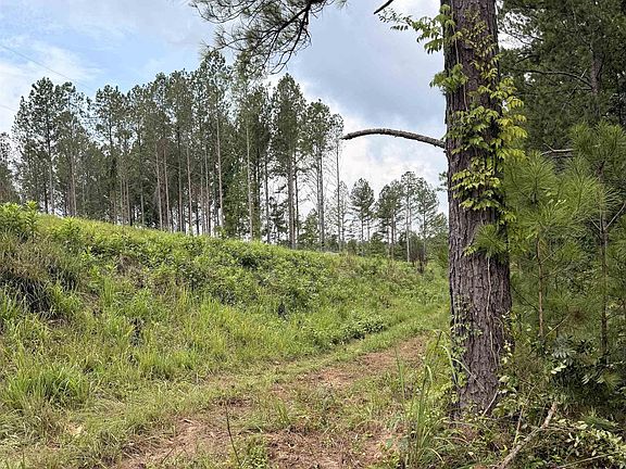 4th image of 0 County Road 40 Lot 0