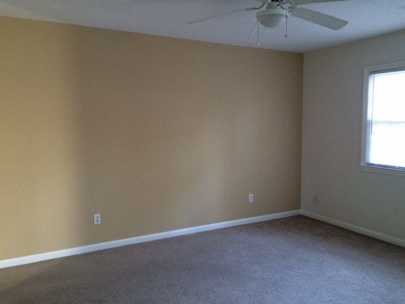 Macadamia Accent Wall color