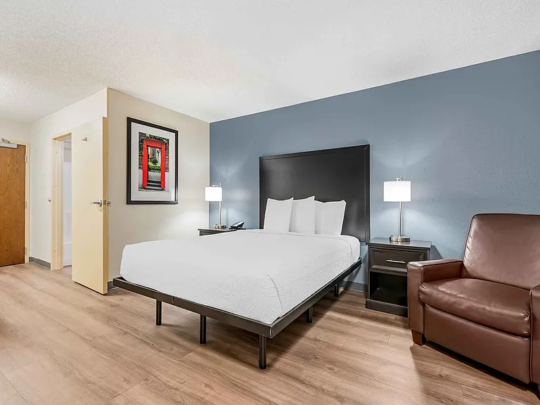 Studio Suite - 1 Queen Bed