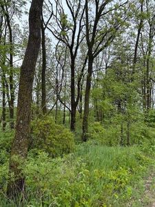 0 Boyle, Soldiers Grove, WI, 54655