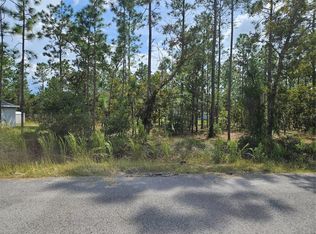 TBD NW TAMARIND LANE LOT 23, DUNNELLON, FL 34431