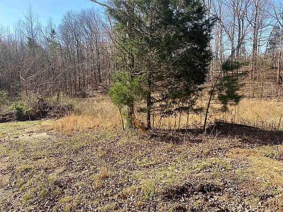 5th image of 65 Amelia Briann Dr Lot 2