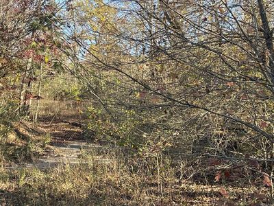 1165 Polk Rd #14, Wickes, AR, 71973