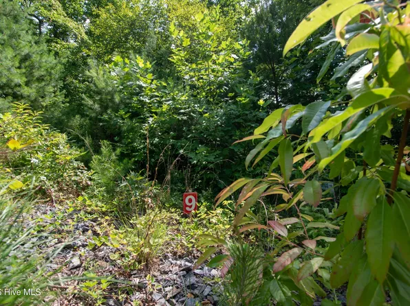 165 Desoto Trl Lot 9, Marble, NC 28905