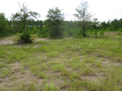 Potts Way, Hilliard, FL, 32046