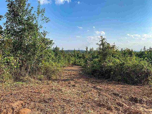 5th image of County Road 1465