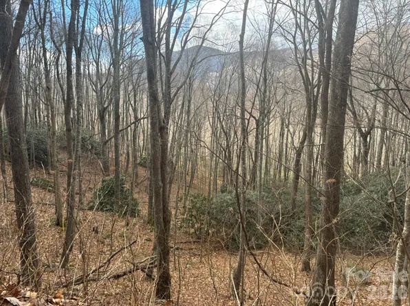 68 Grouse Rd #68, Clyde, NC 28721