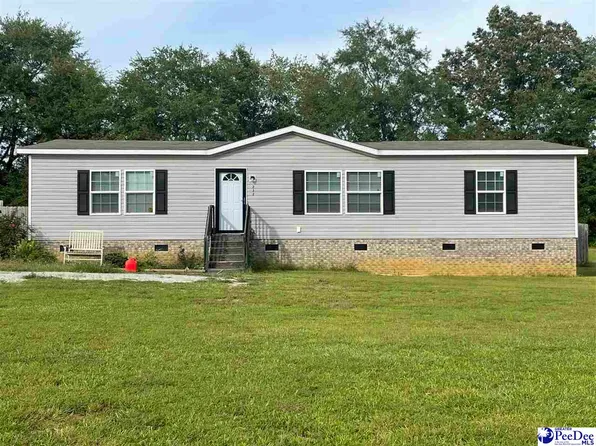 232 Stanfield Ln, Clio, SC 29525