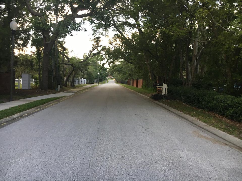 View to the north up the street, right in front of the driveway