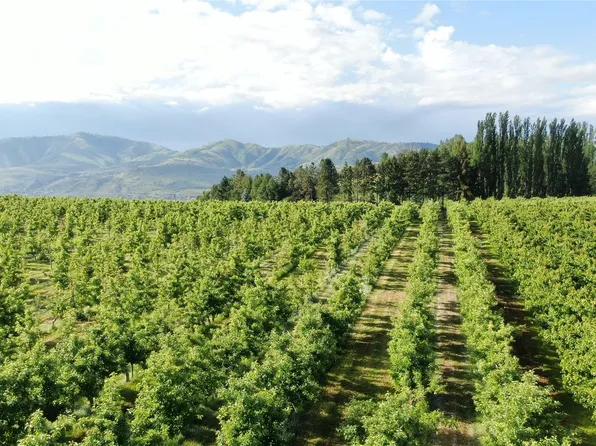 0 xxx Veroske Road, Manson, WA 98831