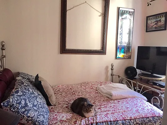 Rented by J Misrahi Realty Corp | media 12