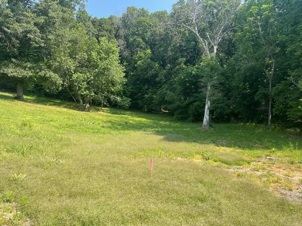 413 Beaver Circle Drive, Anderson, MO 64831