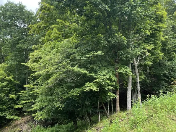 4 Moore Rd, Lavalette, WV 25535