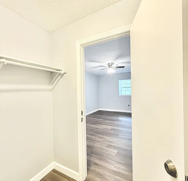 1712 Belleair Forest Dr #D — Photo 33