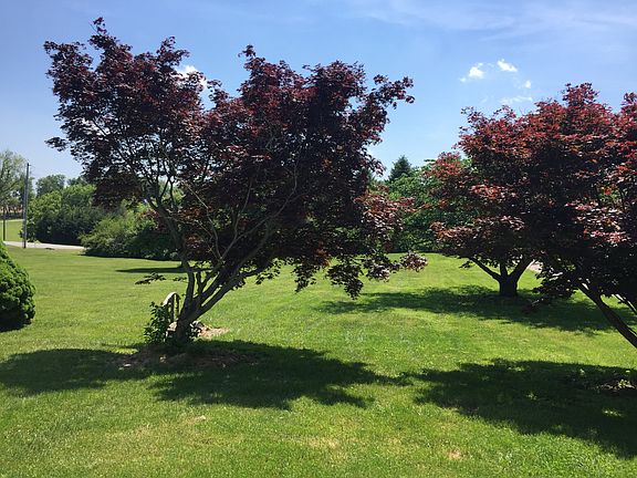 Beautiful front yard