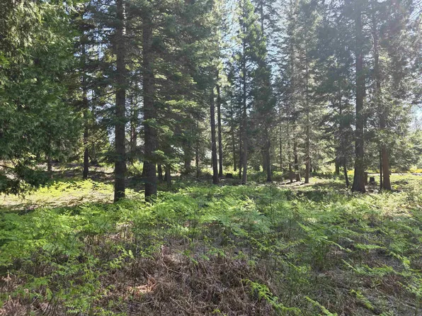 LOT 59 Old Mill Rd, McCloud, CA 96057