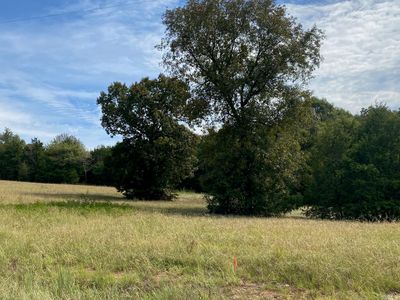 20 Castlepines Dr, Greenbrier, AR, 72058