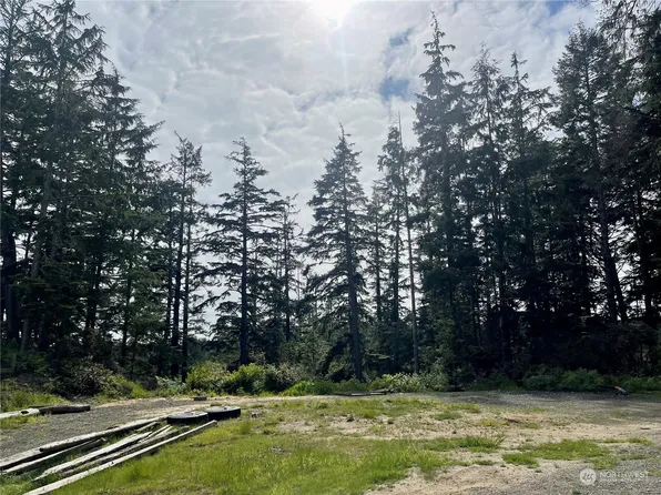 215 XX Birch Lane, Ocean Park, WA 98640