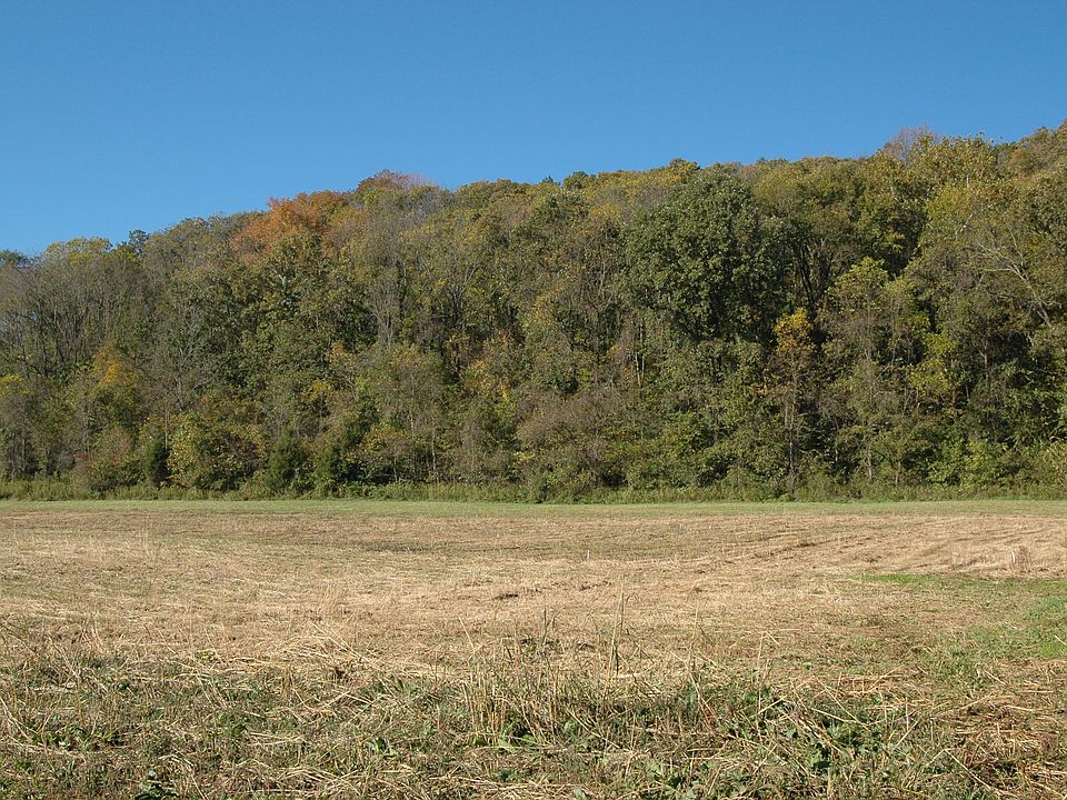 Front property looking West